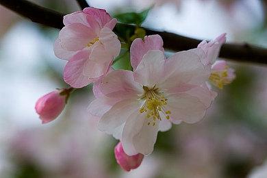 直面真实恐怖 《生化危机8》VR版或将登陆PC平台